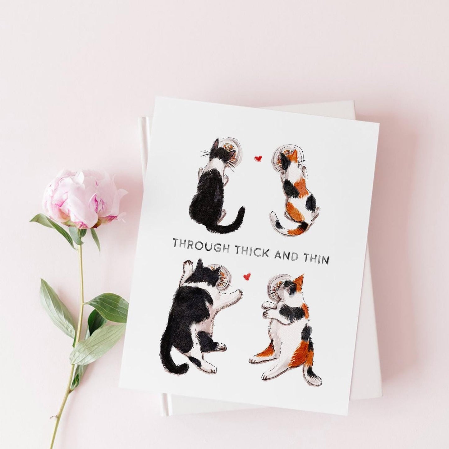 Trough Thick And Thin Cat Funny Anniversary Card For Husband - Cats I Love You Card For Boyfriend - Funny Valentines Day Card For Boyfriend