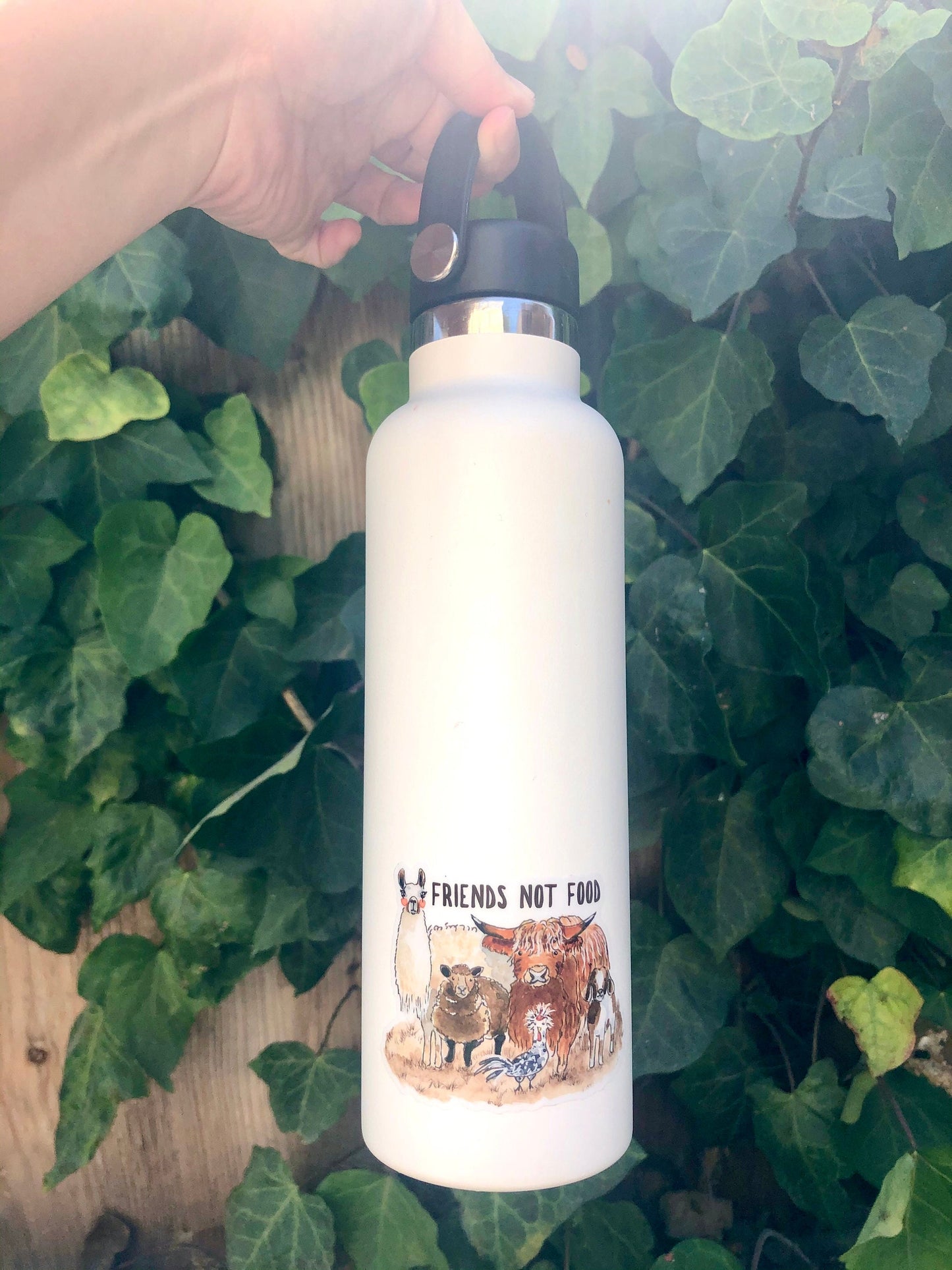 Vegan Sticker - Friends Not Food Animal Rights - Vegan Gifts Herbivore Stickers - Barn Farm Animals Llama Chicken Cow Goat Alpaca Sheep