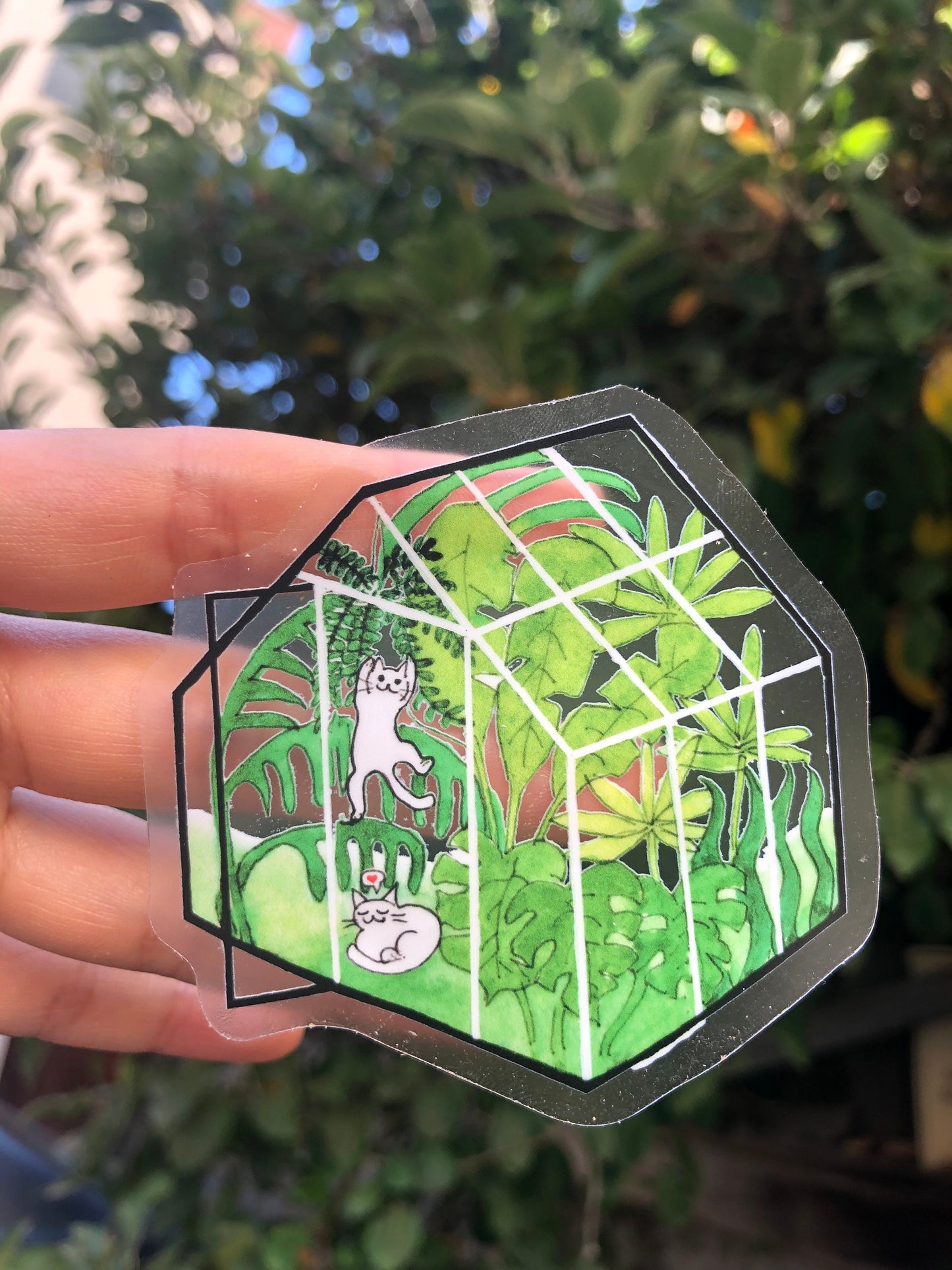 Transparent Stickers For Plant mom - Greenhouse Plant Stickers - Funny Cats Sticker