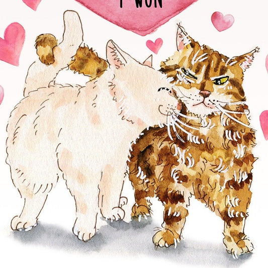 Cats Funny Valentines Card For Boyfriend - I Love You More Couples Gifts From Girlfriend