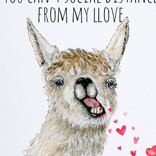 Funny Llama Spits Love Valentines Day Card Funny Pandemic - Social Distancing Card For Him, Quarantine Anniversary Cards For Husband