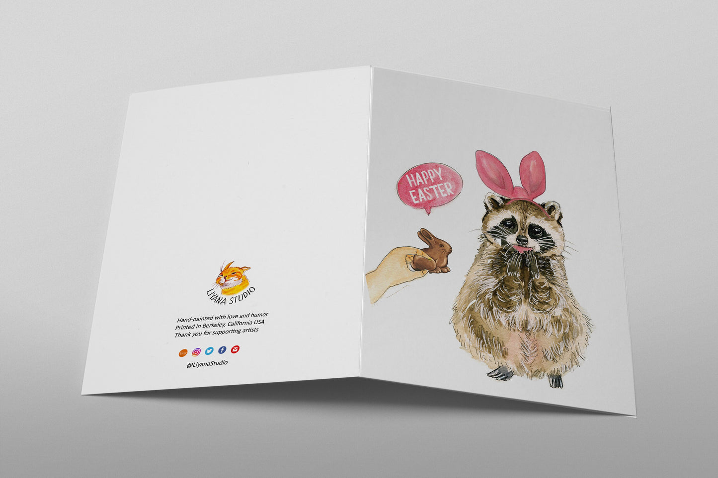 Raccoon Funny Easter Card Set - Chocolate Bunny Gift
