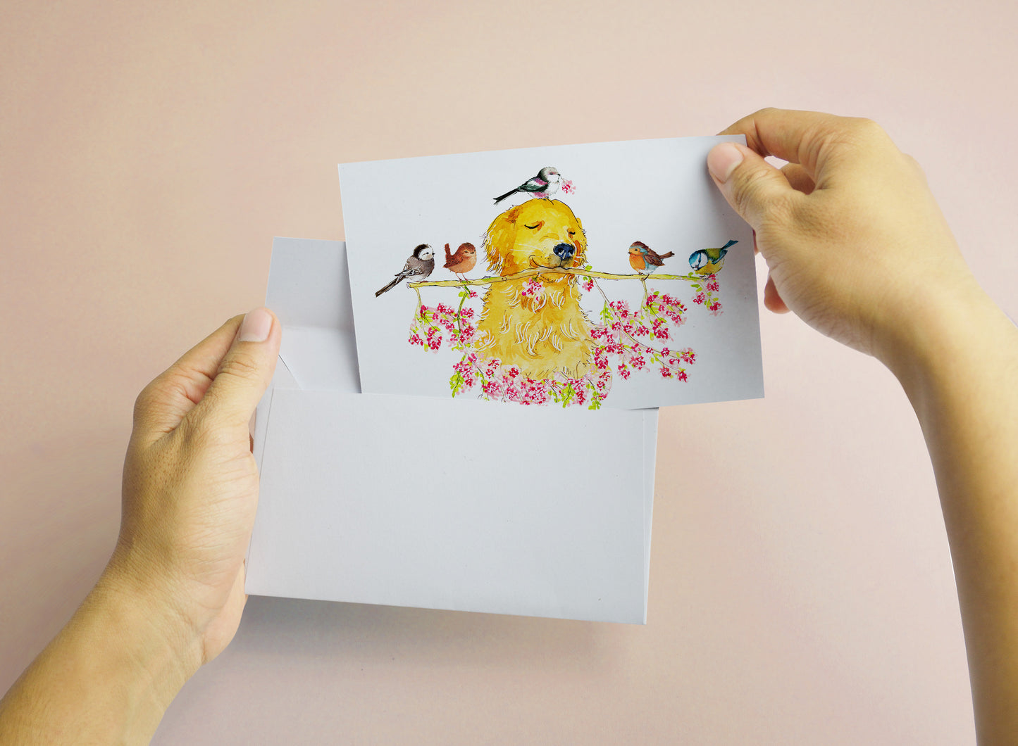Spring Bird Floral Watercolor Cards Set - Golden Retriever Birds Blank Note Cards