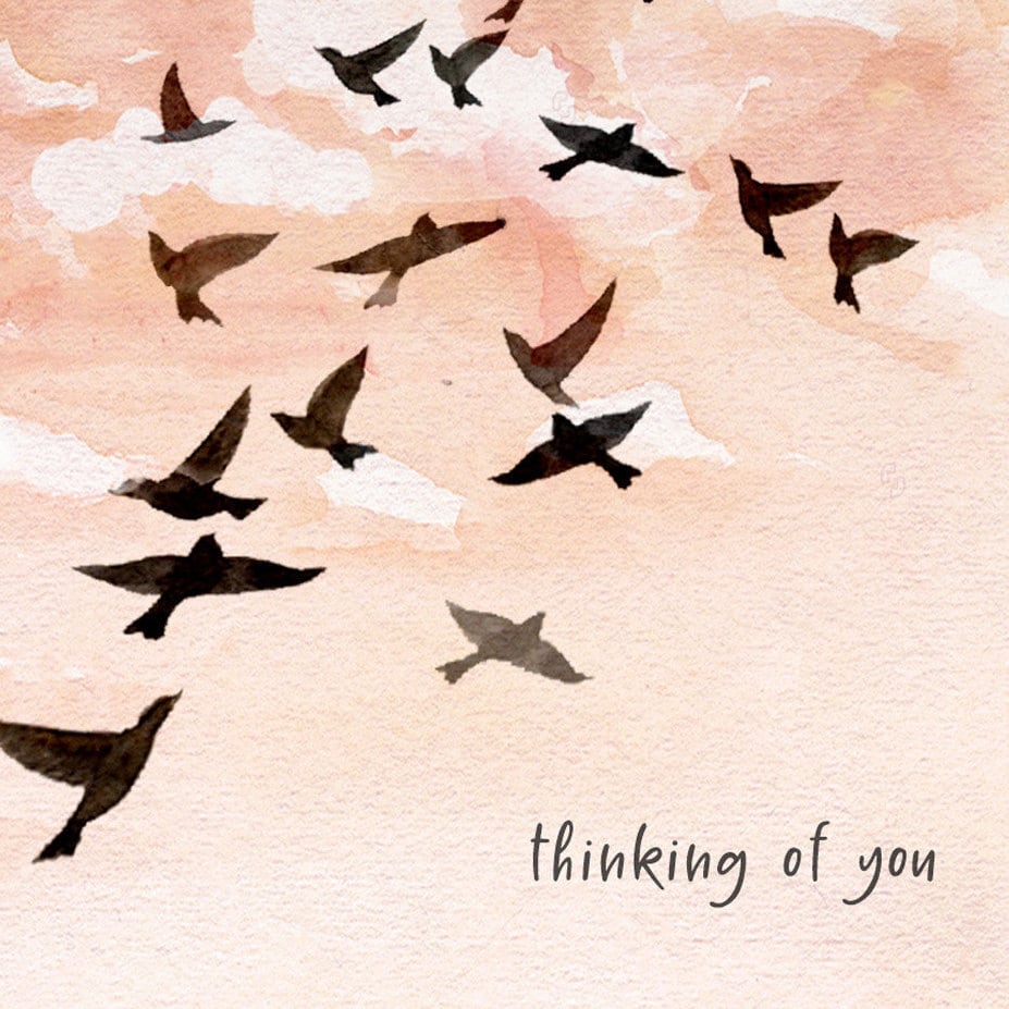 Sunset Sympathy Card - Thinking of You Card - Flock Of Birds