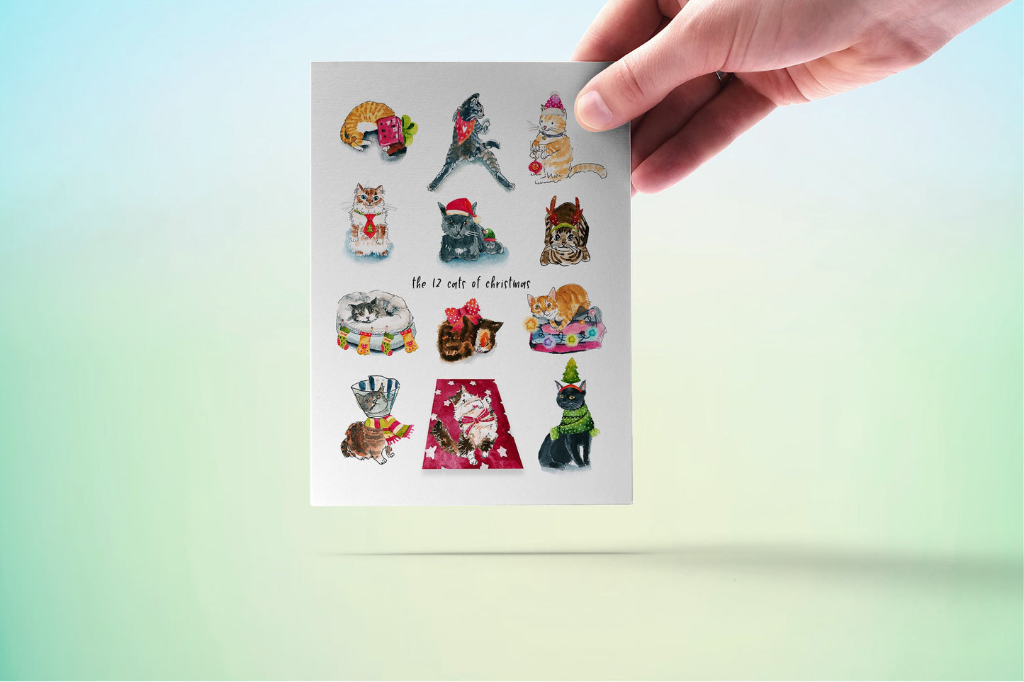 Funny Cat Christmas Cards - 12 Days Of Christmas For Cat Lovers