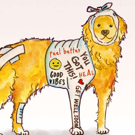Get Well Soon Card, Funny Golden Retriever Dog Greeting Card, Feel Better Card Funny Get Well Card Get Better Golden Retriever Card Sympathy