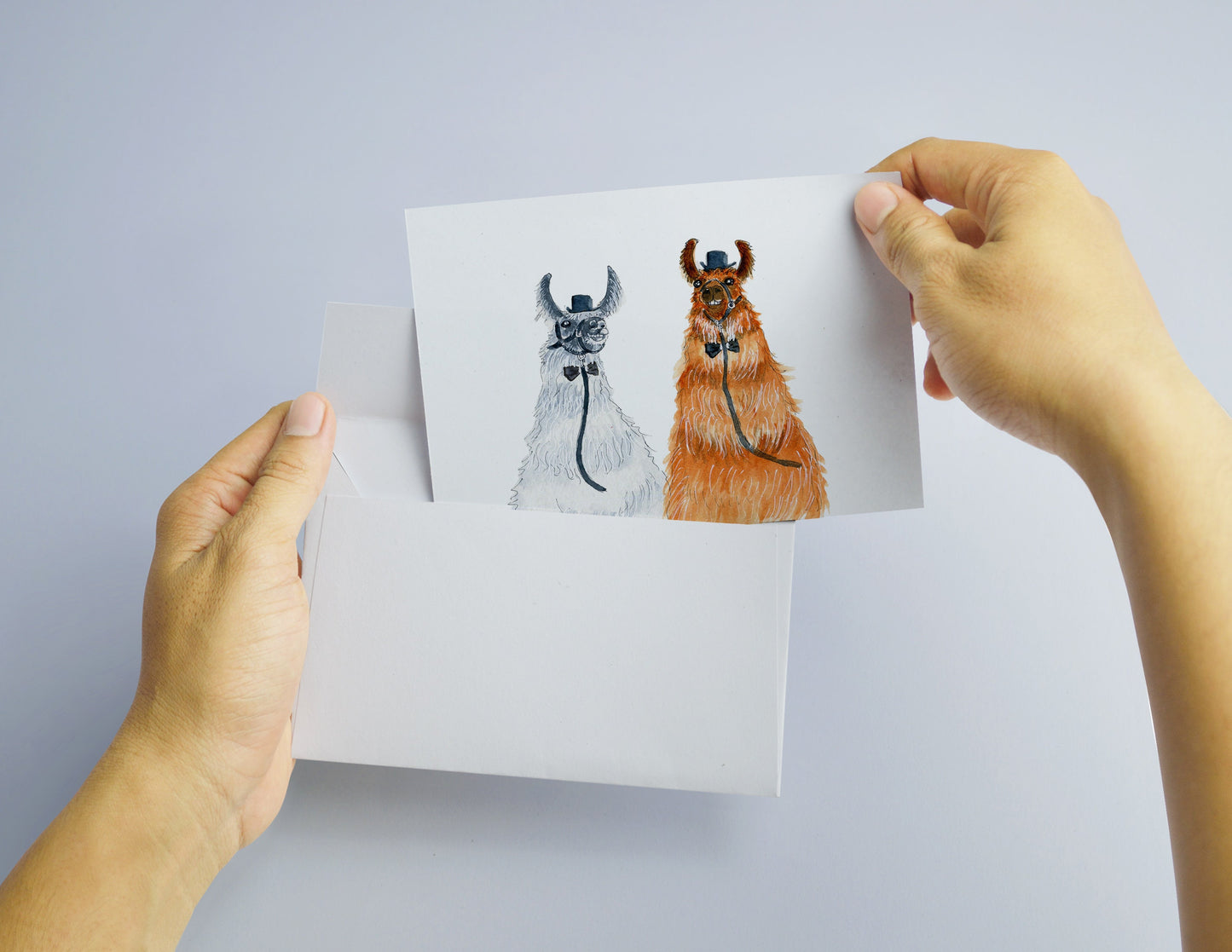 Funny Llama Gay Wedding Card For Groom And Groom, Funny Wedding Cards For Gay Couple