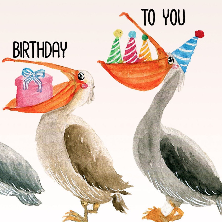 Pelican Birds Birthday Card