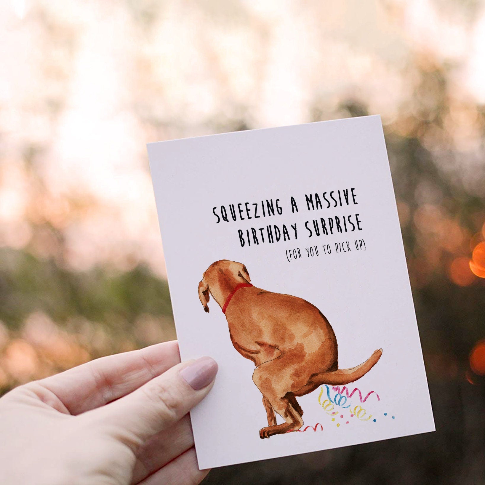 Naughty Lab Dog Valentines Day Card Funny - Squeeze Massive Surprise For Dog Lovers - Anniversary Gifts From The Dog