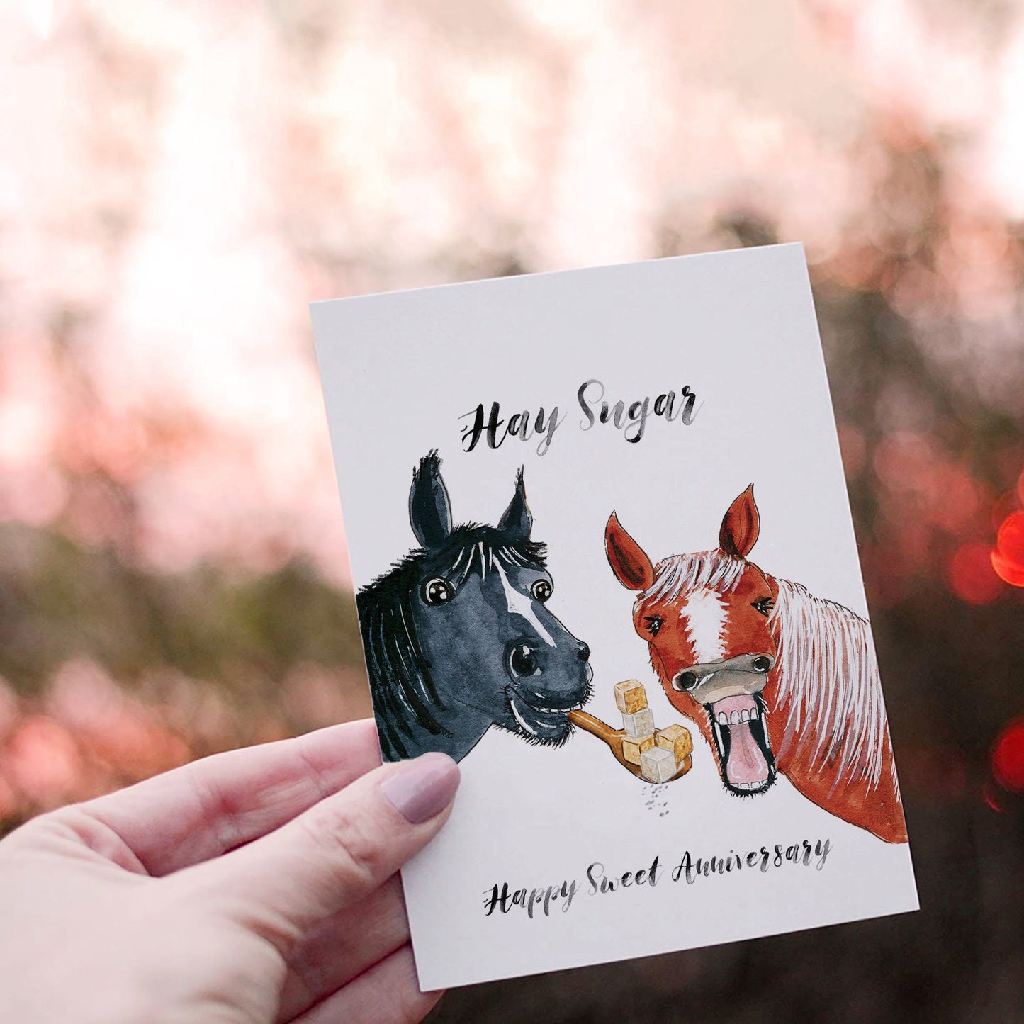 Horse Couple 6 Years Sugar Anniversary Card For Husband - Funny 6th Anniversary Cards For Him