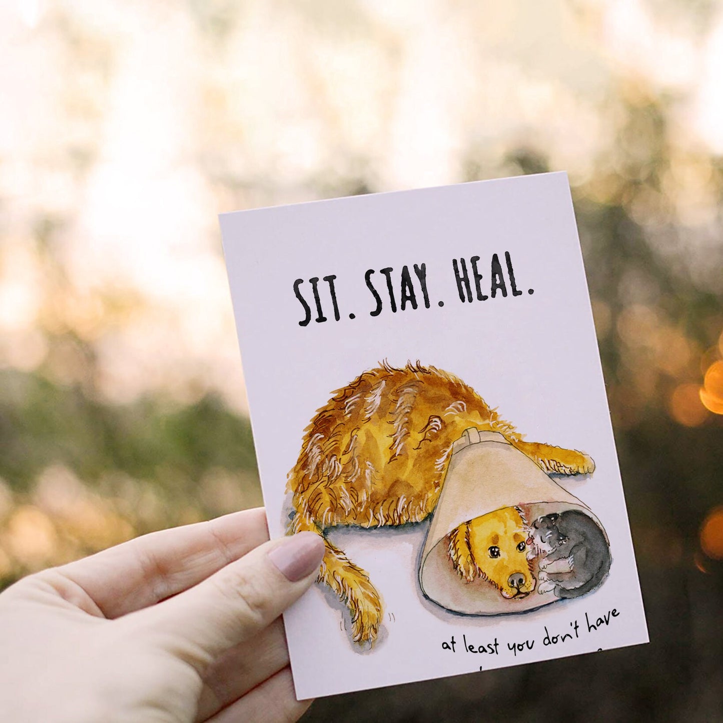 Dog Sympathy Card - Get Well Soon Card For Friends - Golden Retriever Dog And Cat Cone of Shame