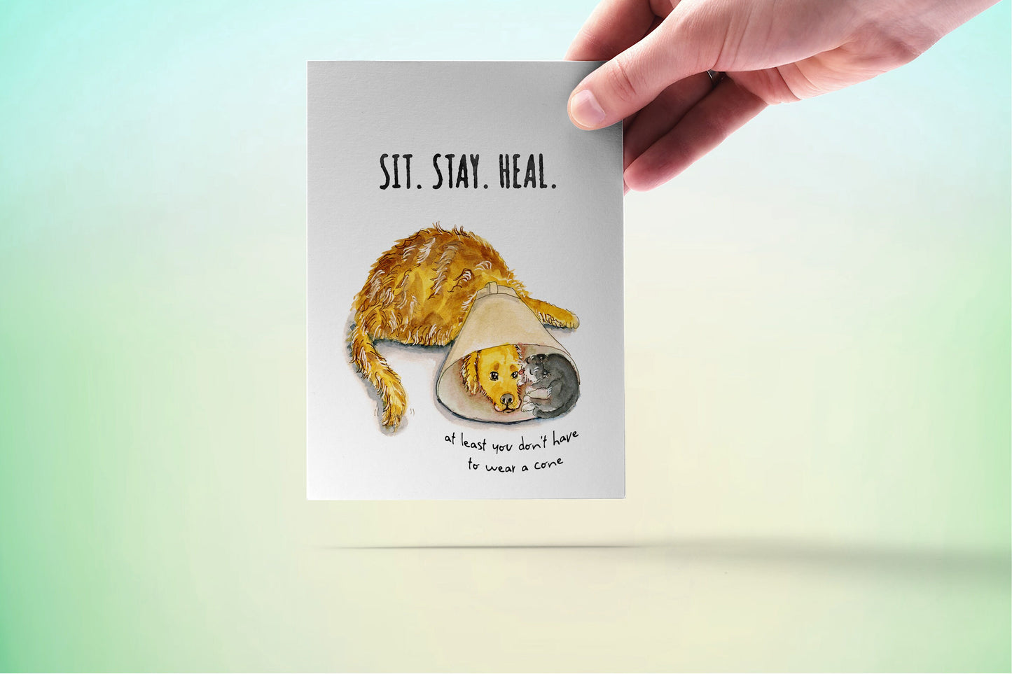 Dog Sympathy Card - Get Well Soon Card For Friends - Golden Retriever Dog And Cat Cone of Shame
