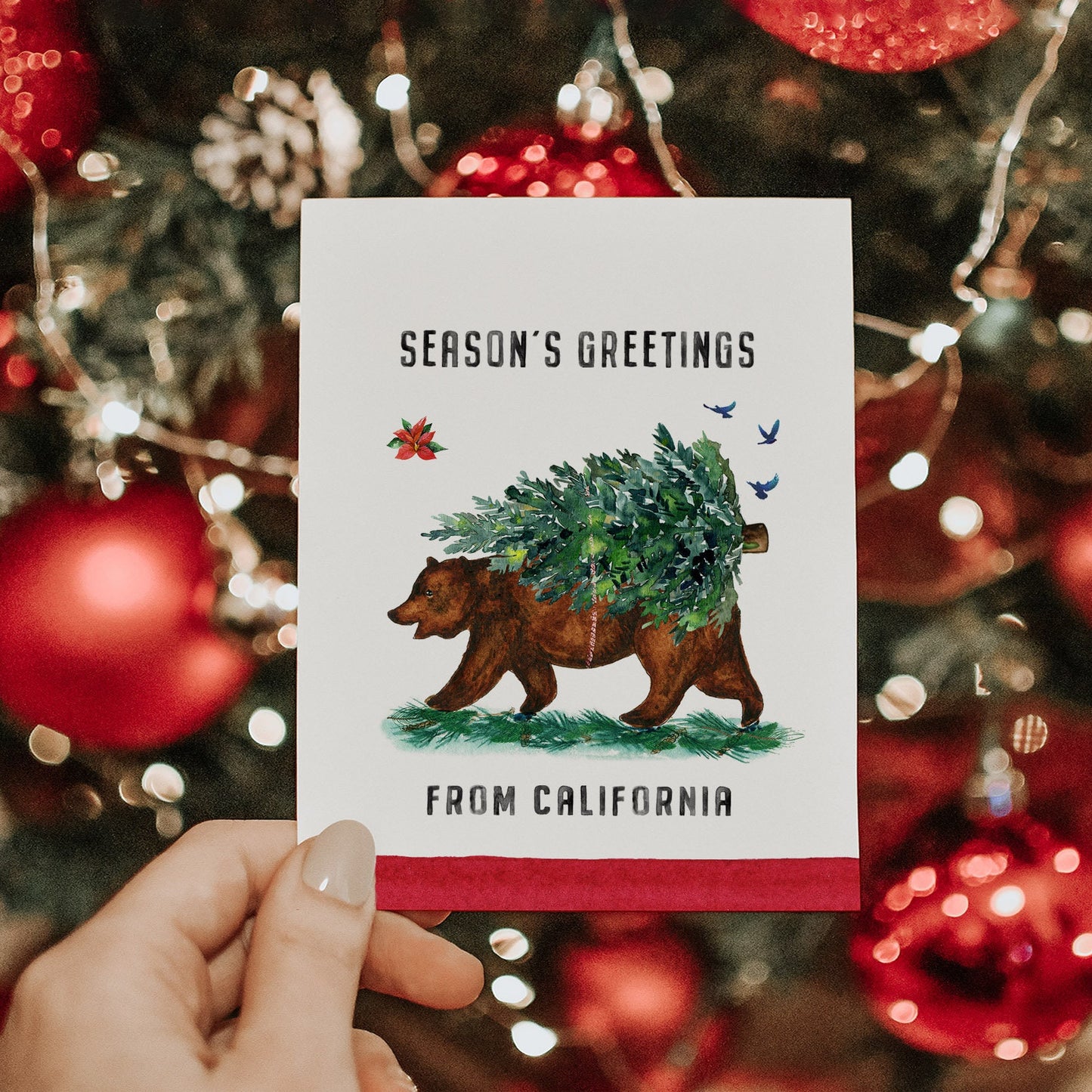 Season's Greetings From California Bear Christmas Card