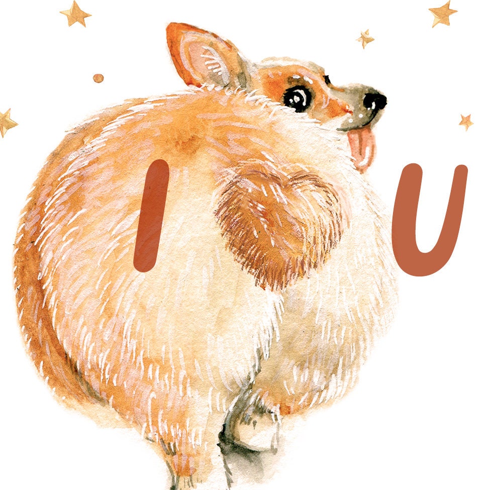 Corgi Valentines Day Card For Him - I Love You Card For Girlfriend - Cute Dog Lover Anniversary Card For Husband