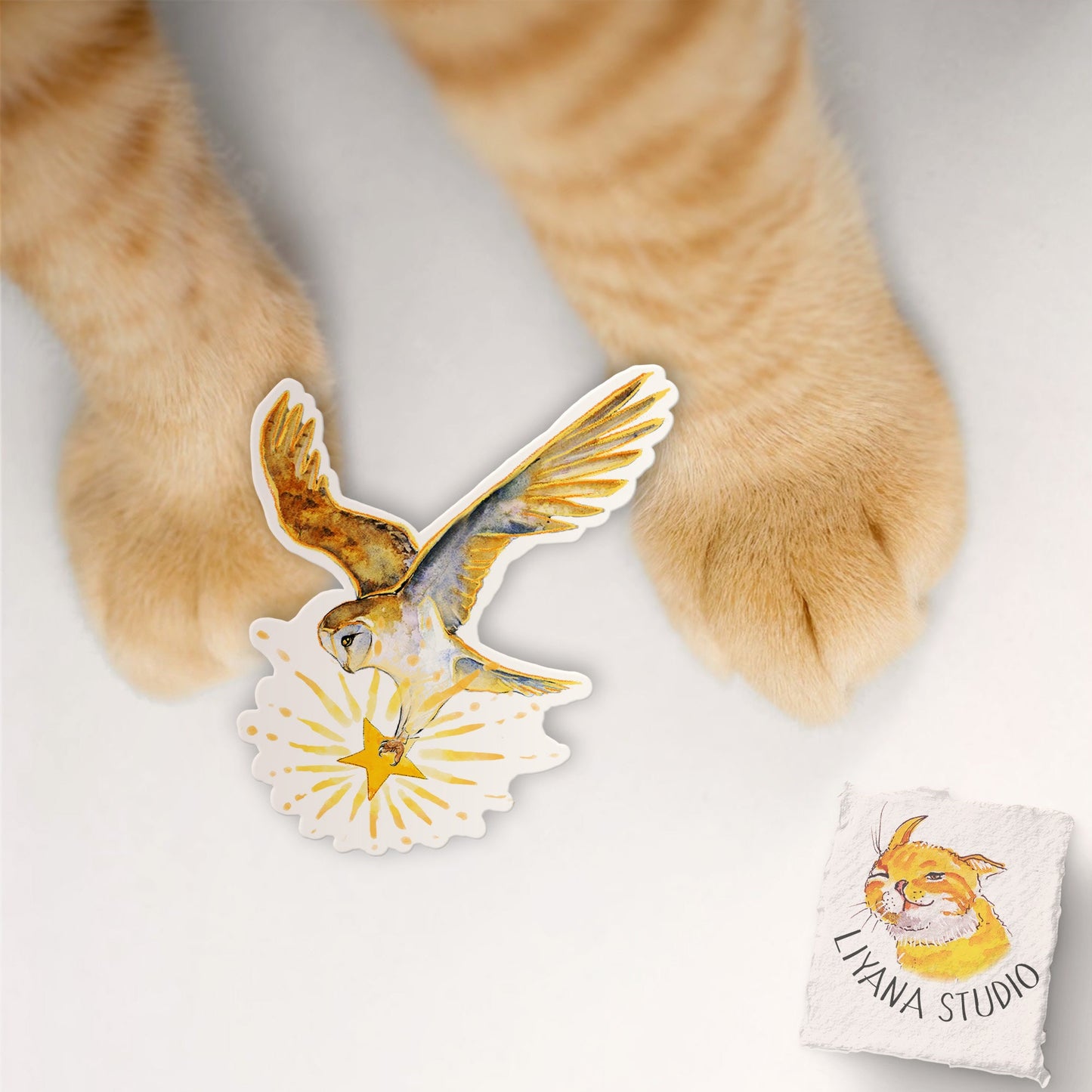 Barn Owl Star Bird Stickers - Watercolor Owl Sticker For Birds Lover - Owl Gifts For Her - Waterproof Decal Liyana Studio
