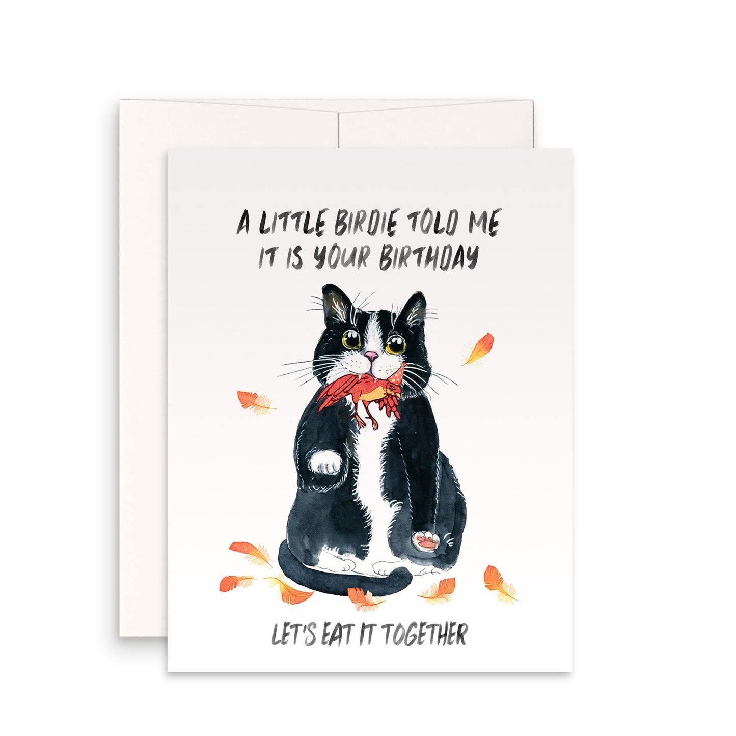Naughty Black Cat Birthday Cards Funny - Couch Scratch Cats Gift