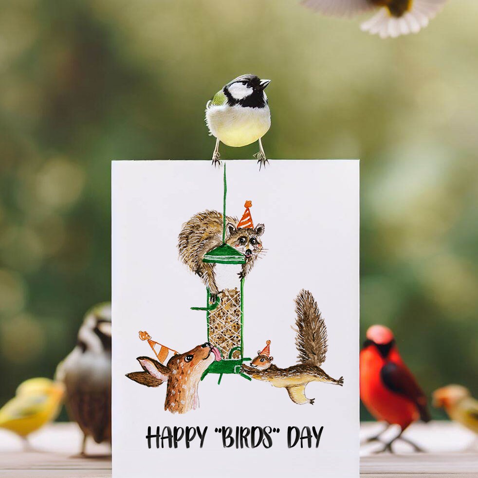 Bird Feeder Funny Birthday Cards For Bird Watching - Bird Birthday Card For Bird Lover - Nature Lover Squirrel Raccoon Deer - Liyana Studio