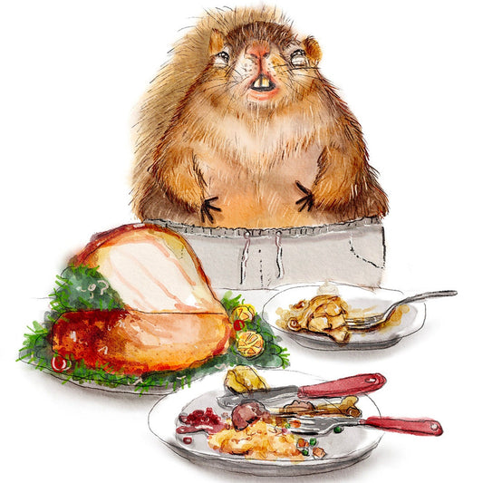 Fat Pants Squirrel Happy Thanksgiving Cards Funny - Food Coma Thanksgiving Gift For Friends - Handmade By Liyana Studio Greetings