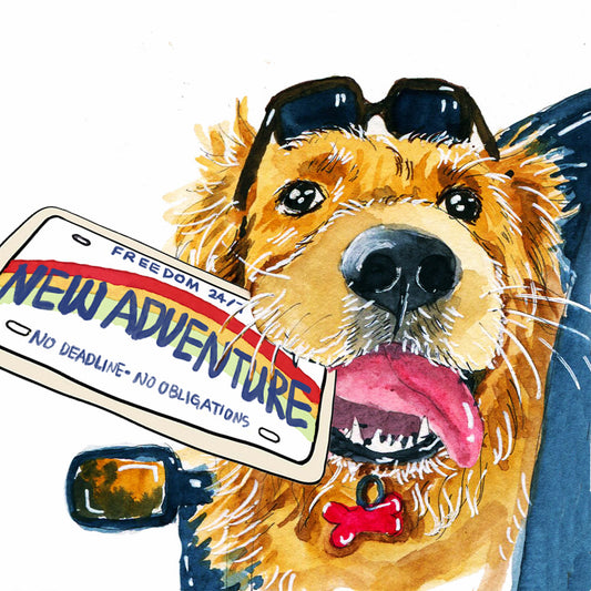 Golden Dog Retirement Adventure  Greeting & Note Cards