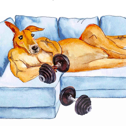 Kangaroo Pump Iron 6th Anniversary Card For Husband Wife - Six Years Strong - Iron Anniversary Gift - Funny Anniversary Card For Boyfriend