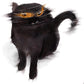 Spooky Black Cat Halloween Card Funny – Purr-anormal Cat-ivities Blurry Cat Zoomies – Cute Fall Gift for Cat Lovers – Holiday Greeting