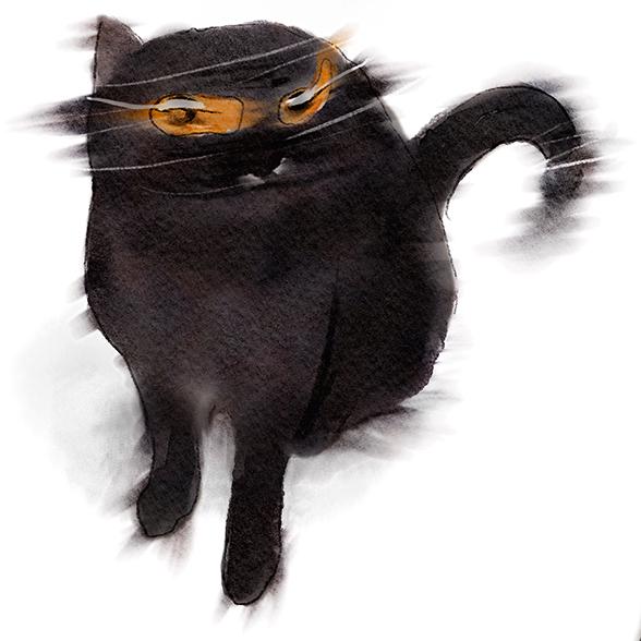 Spooky Black Cat Halloween Card Funny – Purr-anormal Cat-ivities Blurry Cat Zoomies – Cute Fall Gift for Cat Lovers – Holiday Greeting