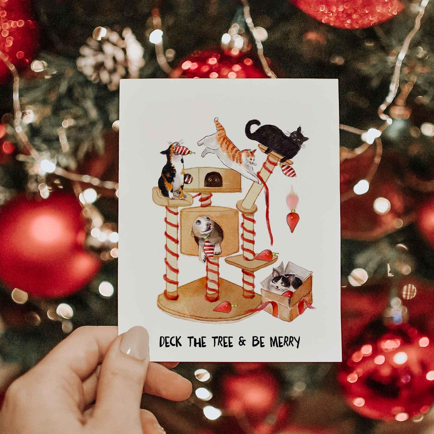 Deck The Tree & Be Merry - Funny Cat Christmas Card For Cat Lovers - Orange Tabby Tuxedo Black Cat Cards