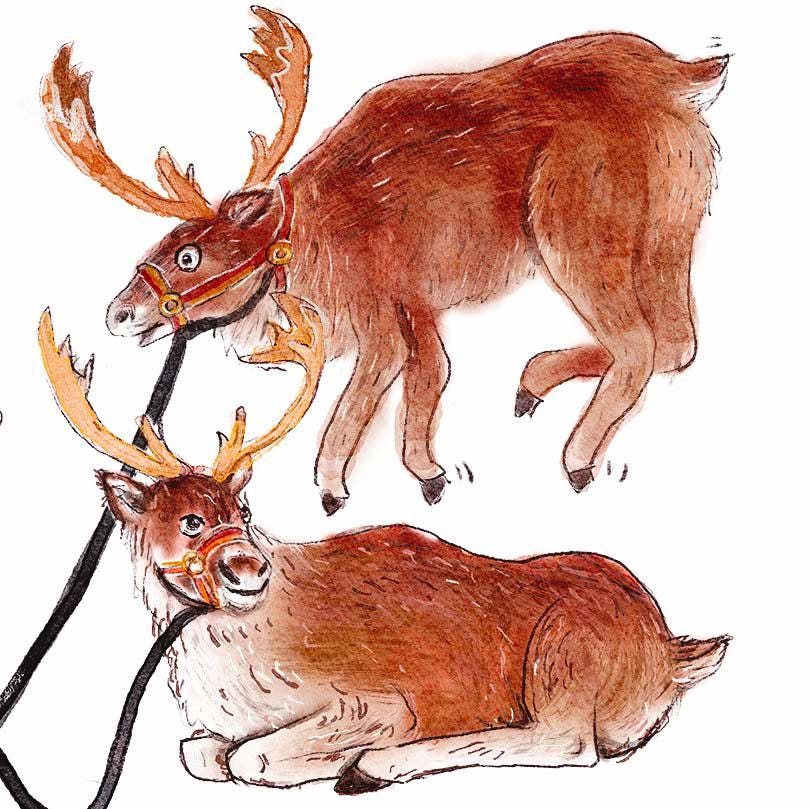 Santa Parking Only Funny Christmas Card - Reindeers On Roof Handmade Holiday Cards - Liyana Studio Greeting Cards