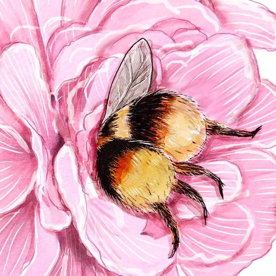 Honey Bee Flower Valentines Day Card – We Bee-Long Together Cute Love Card - Floral Anniversary Gift for Husband - Liyana Studio Handmade