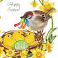 Bird Funny Easter Cards For Kids - Gummy Worm Candy Easter Card - Liyana Studio Handmade Greeting Card