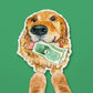 Cash Retriever Dog Sticker - Liyana Studio Decorative Stickers