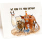 Farm Animal Birthday Card Funny - Woodland Llama Alpaca Sheep Chicken Goat Cow