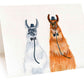 Funny Llama Gay Wedding Card For Groom And Groom, Funny Wedding Cards For Gay Couple
