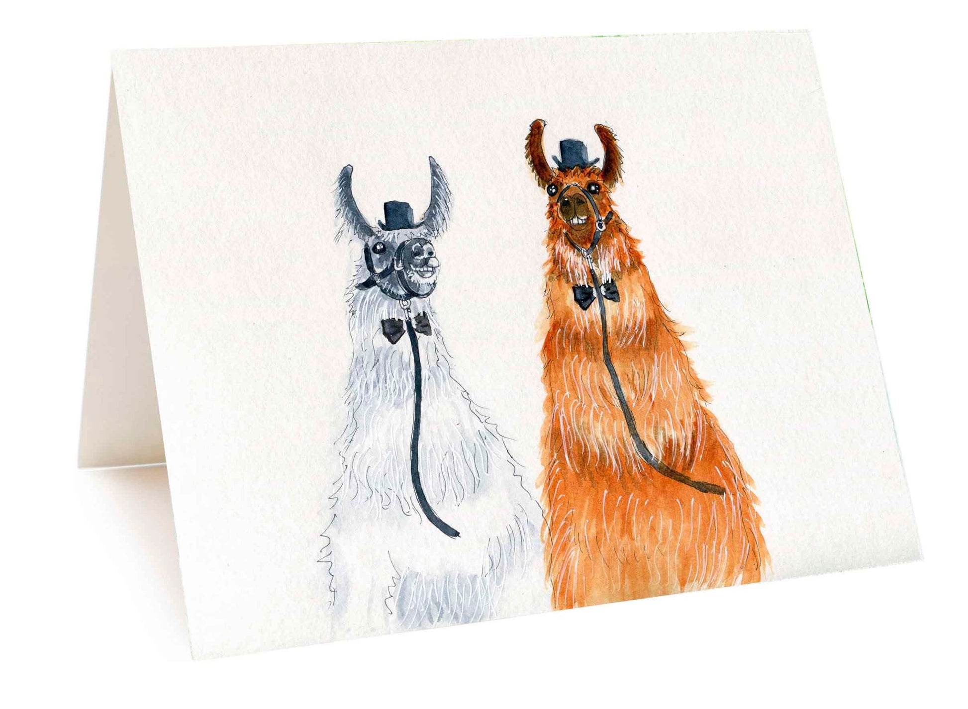 Funny Llama Gay Wedding Card For Groom And Groom, Funny Wedding Cards For Gay Couple