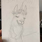 Absolute Fabulous Sassy Llama Birthday Cards For Him, Rainbow Unicorn Alpaca Bday Card For Her, LGBT Gay Pride Funny Birthday Cards Of Love
