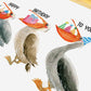 Pelican Birds Birthday Card