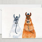 Gay Llamas Lesbian Wedding Card Funny