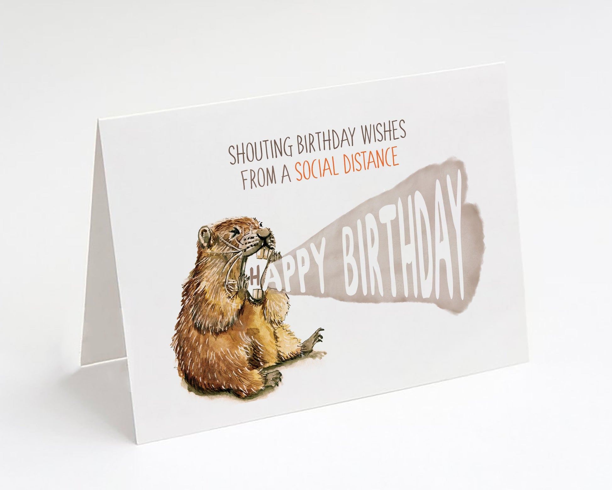 Marmot Funny Happy Birthday Card With Social Distance, Funny Birthday Card For Friend, Happy Birthday With A Social Distancing, Stay At Home