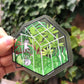 Transparent Stickers For Plant mom - Greenhouse Plant Stickers - Funny Cats Sticker