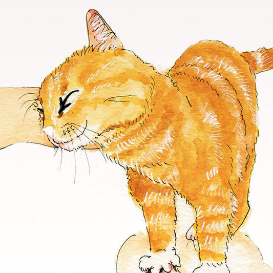 Funny Cat Valentines Card For Husband - Orange Cat Knead Your Love