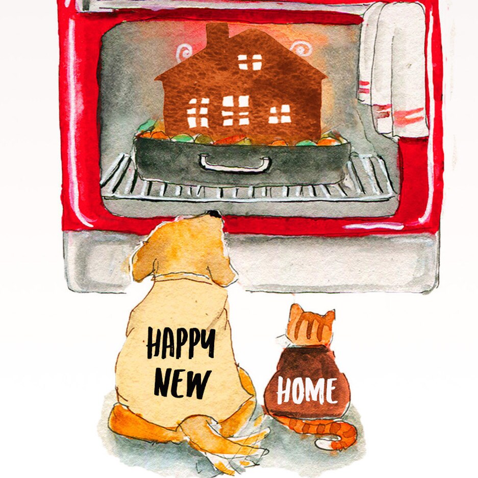 Biglietto D'auguri Divertente Per Nuova Casa – New Plaice Card Di STUDIO BOKETTO