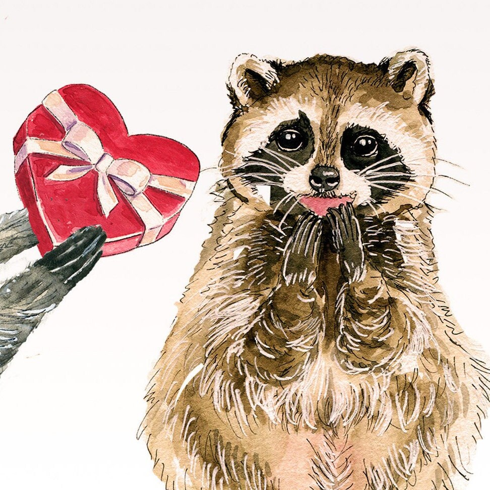 Funny Raccoon Valentines Card For Girlfriend - Be My Valentines Chocolate Candy Gift For Her