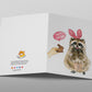 Raccoon Funny Easter Card Set - Chocolate Bunny Gift