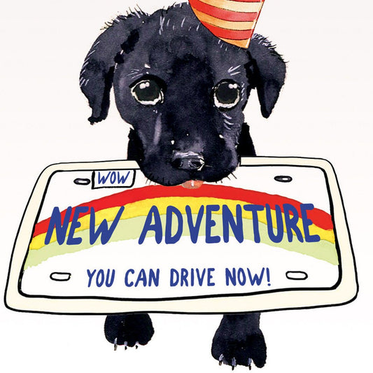 Happy 16th Birthday Card Funny - New Adventure You Can Drive Now - For Black Lab Puppy Dog Lover