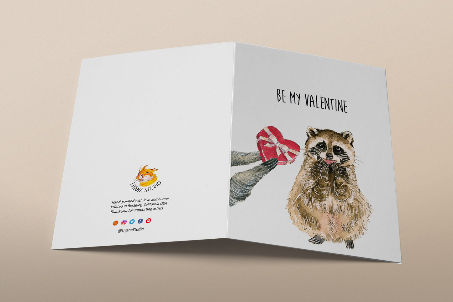 Funny Raccoon Valentines Card For Girlfriend - Be My Valentines Chocolate Candy Gift For Her