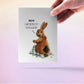 Adult Funny Easter Card For Friends - Chocolate Bunny Treat Easter Card Set - Rabbit Spring Greeting Cards