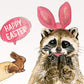 Raccoon Funny Easter Card Set - Chocolate Bunny Gift