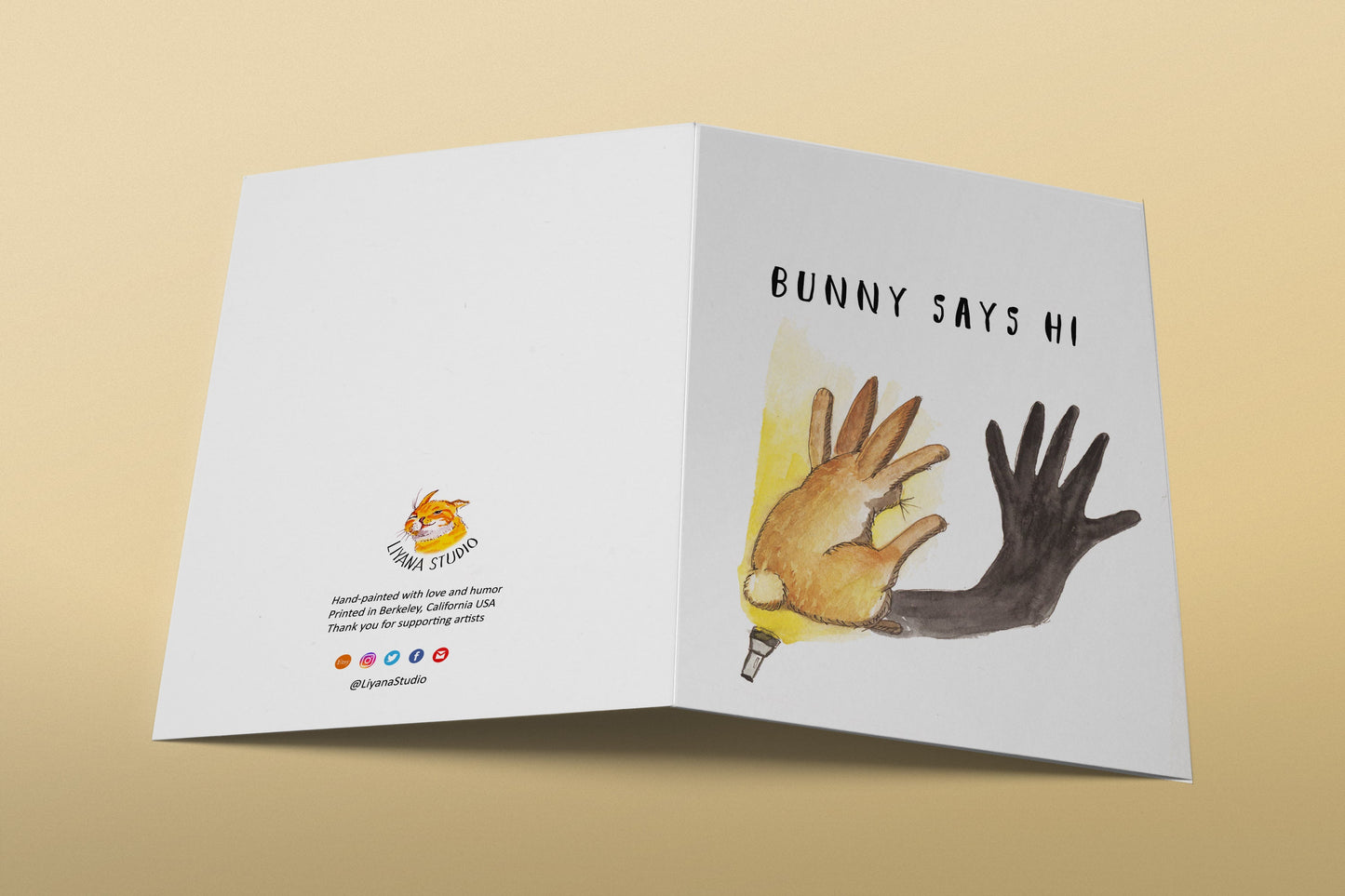 Rabbit Friendship Cards - Shadow Puppet Bunny Says Hi - Funny Easter Card Pack