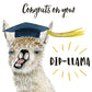 Diploma Llama High School Graduation Cards Funny - College Graduation Gift For Him - Congratulations Card For Daughter