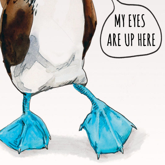 Blue footed Boobie Bird Card - Funny Birthday Card For Friends